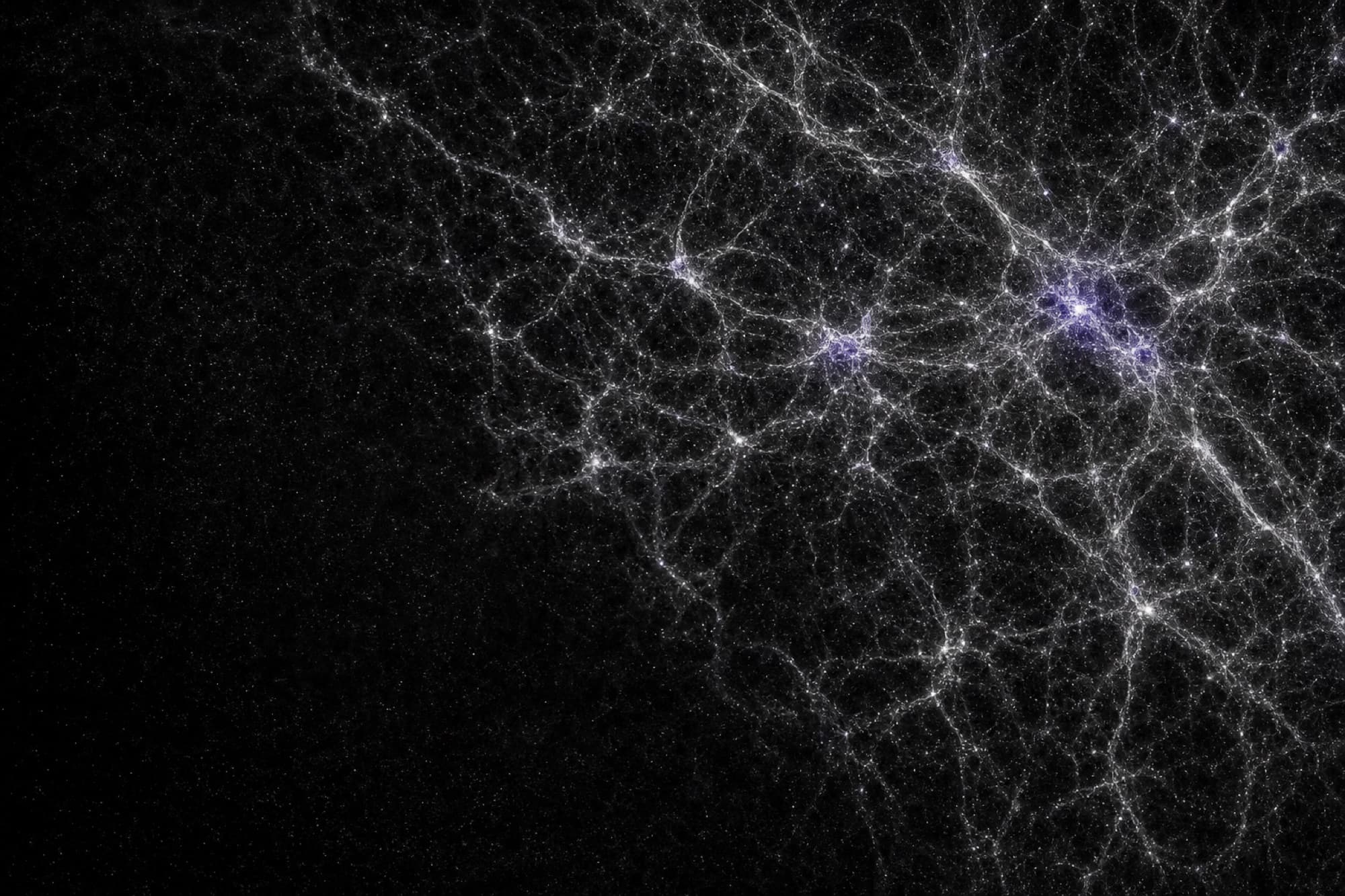 Cosmic web filaments resembling neural tissue