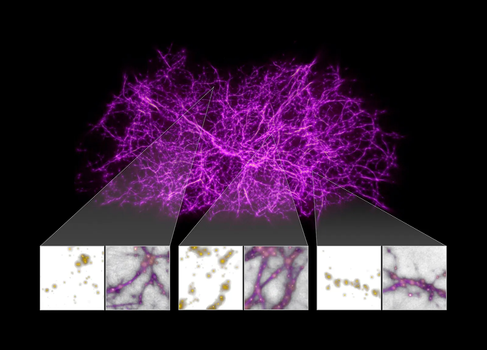 A map of the cosmic web: glowing filaments connecting clusters of galaxies on a dark background.
